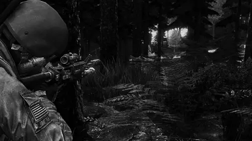 DayZ